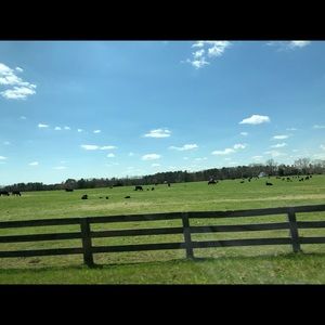 Meet your Posher, Colby